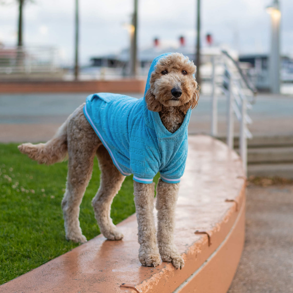 Beach Bum Towel Hoodie
