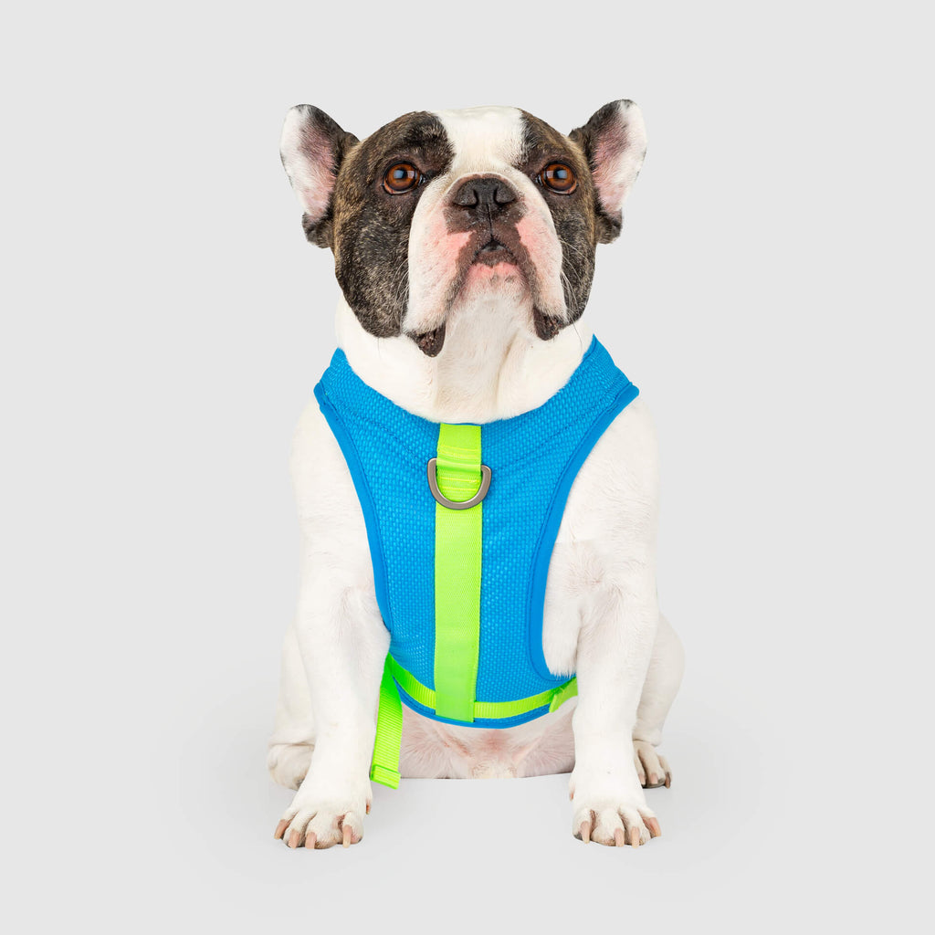 Chill Seeker Cooling Harness