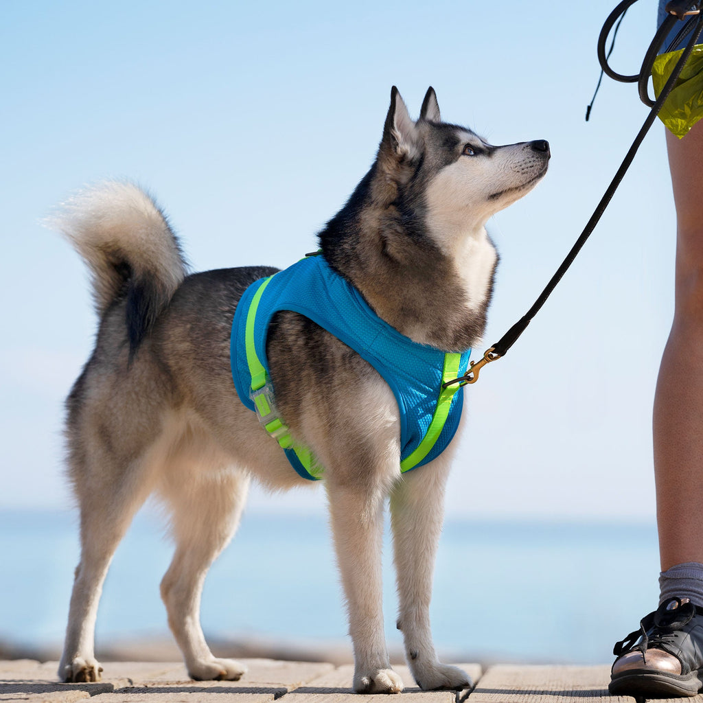 Chill Seeker Cooling Harness