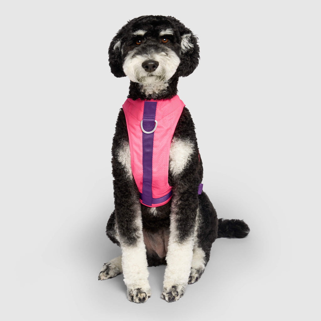 Chill Seeker Cooling Harness