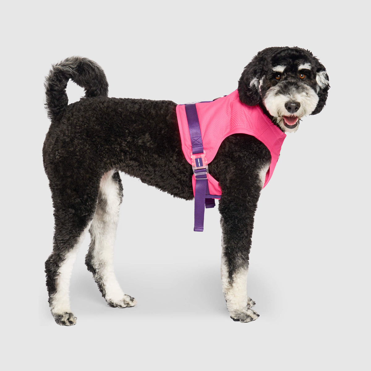 Chill Seeker Cooling Harness
