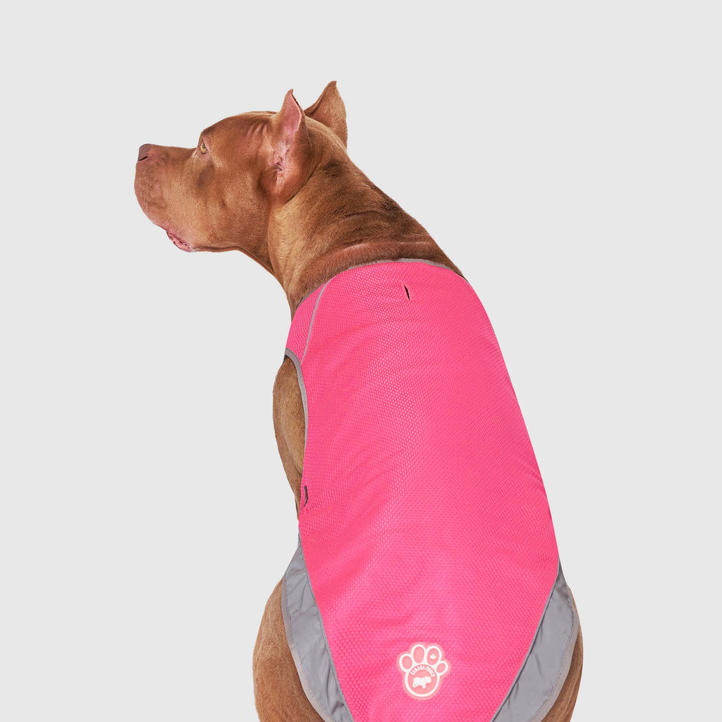 Chill Seeker Cooling Vest