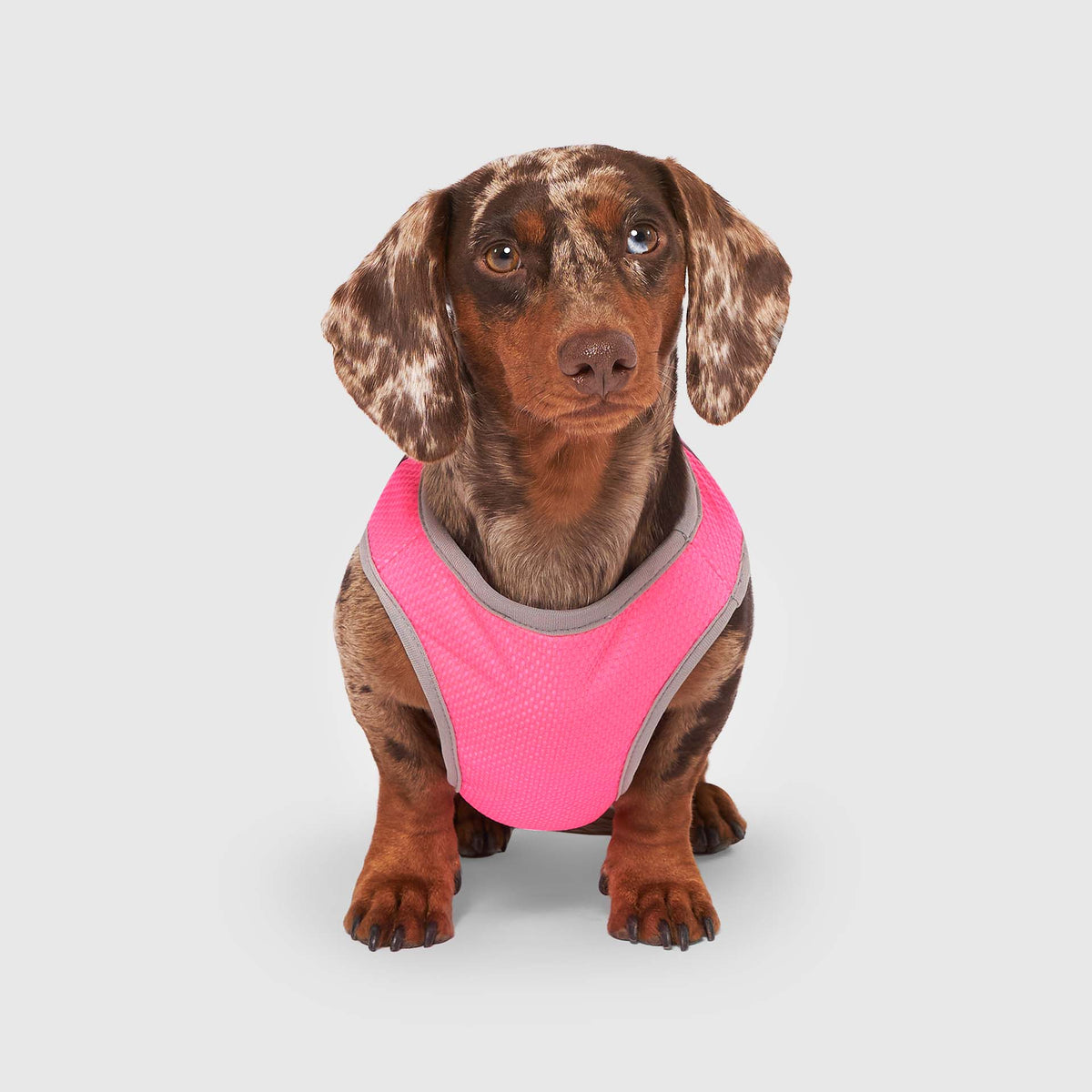 Chill Seeker Cooling Vest