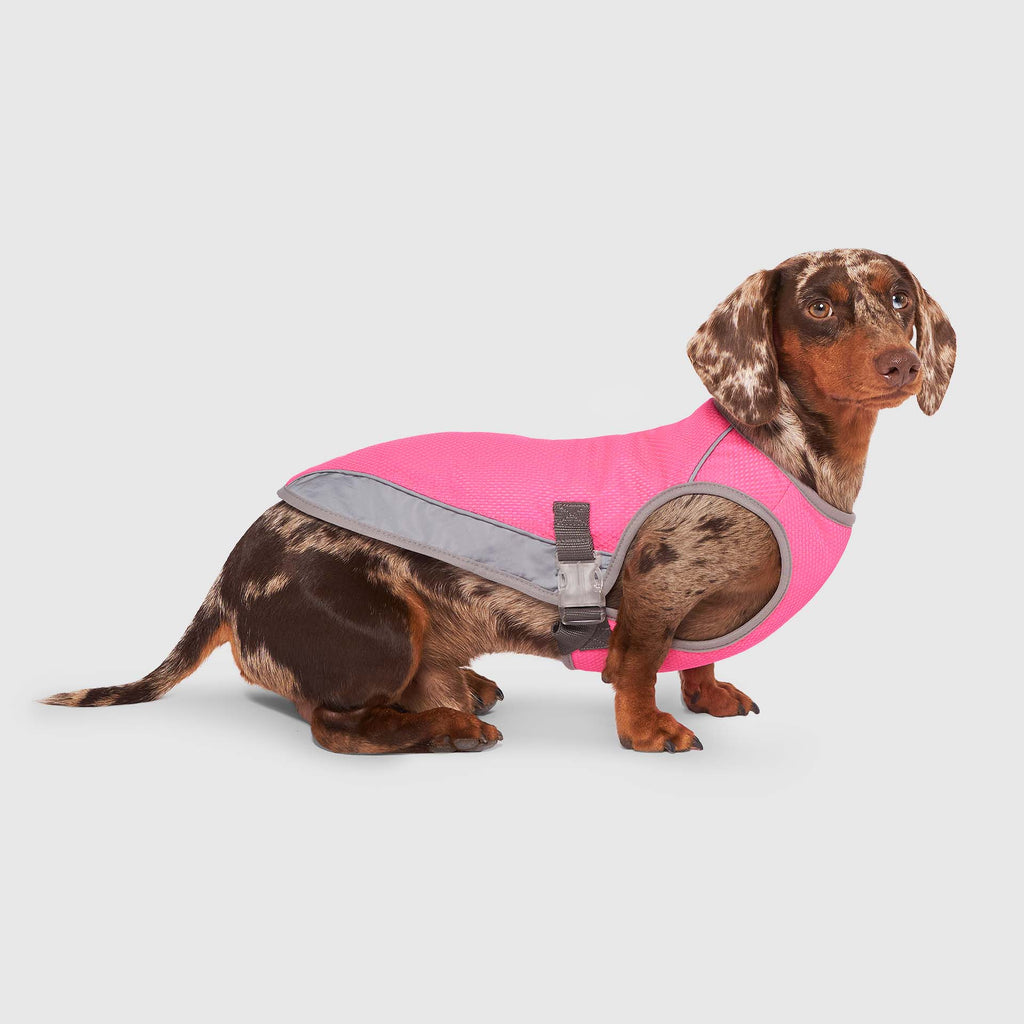 Chill Seeker Cooling Vest