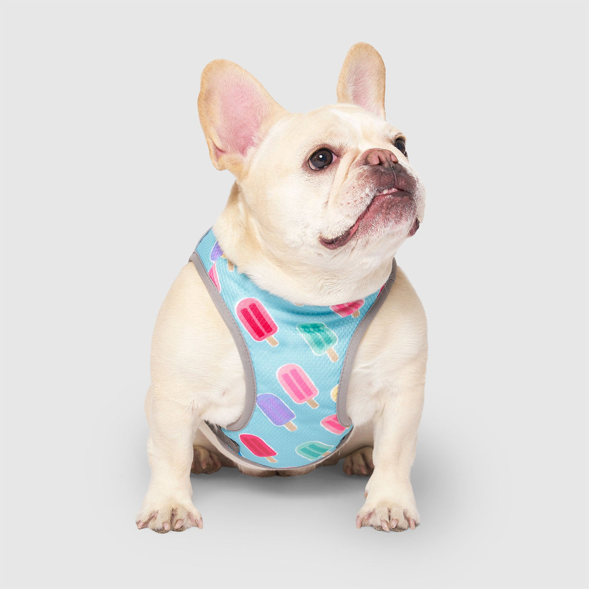 Chill Seeker Cooling Vest