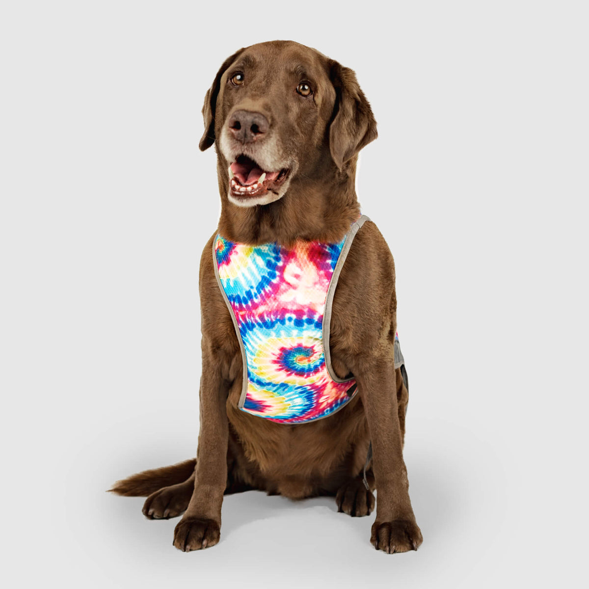 Chill Seeker Cooling Vest