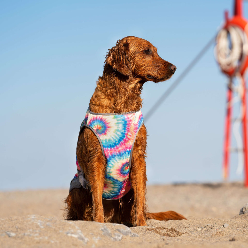 Chill Seeker Cooling Vest