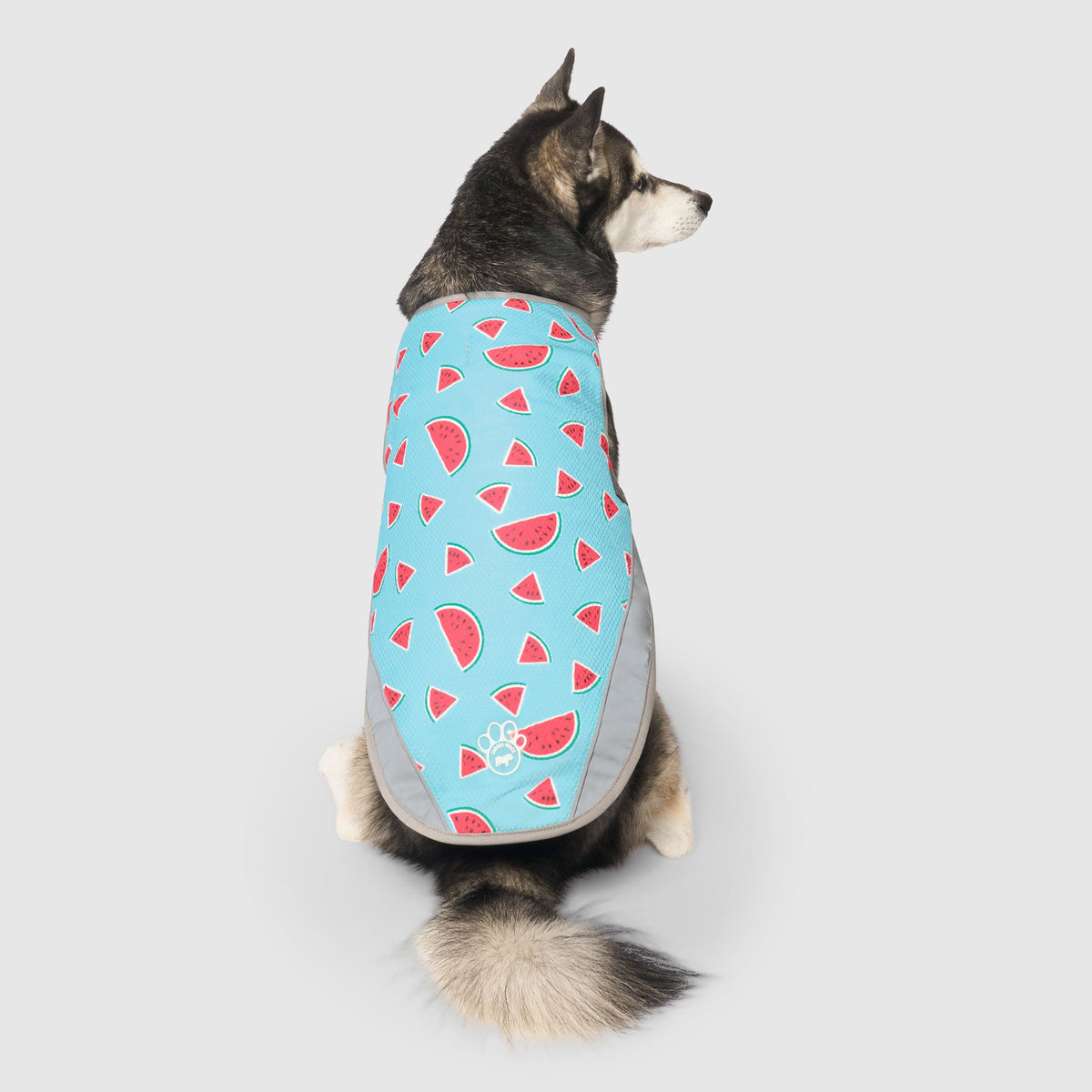 Chill Seeker Cooling Vest