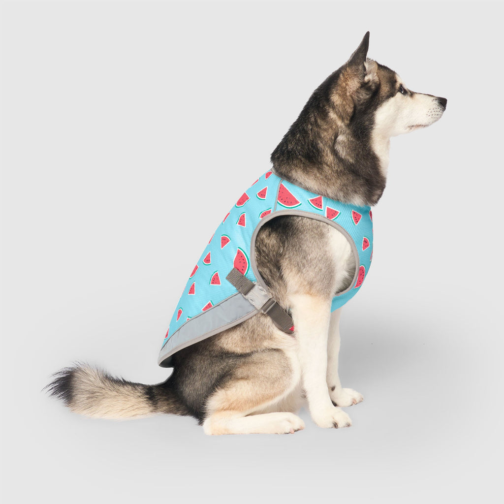 Chill Seeker Cooling Vest