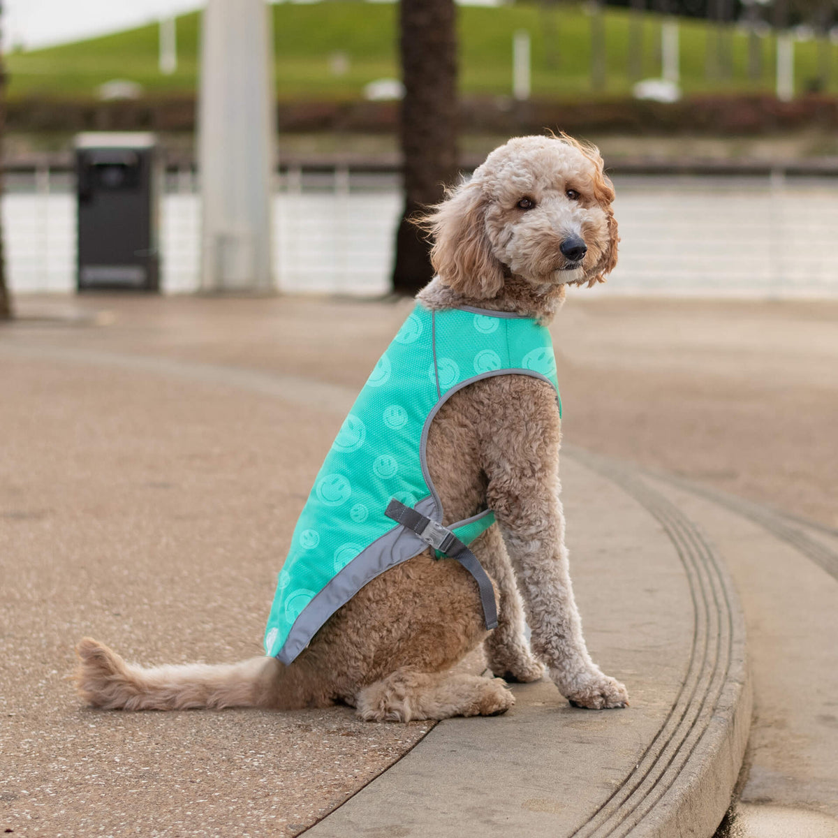 Chill Seeker Cooling Vest Wet Reveal