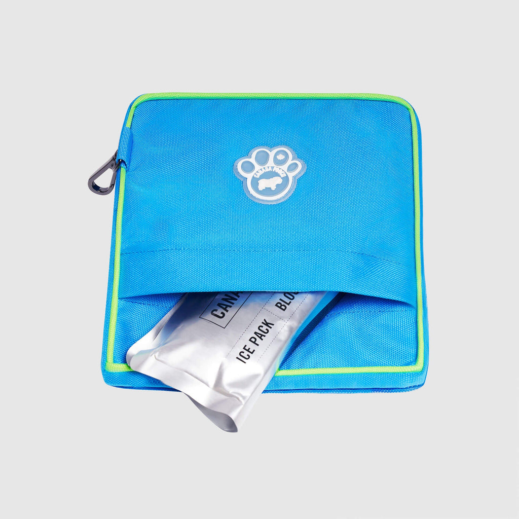 Chill Seeker Freeze-And-Go Water Bowl
