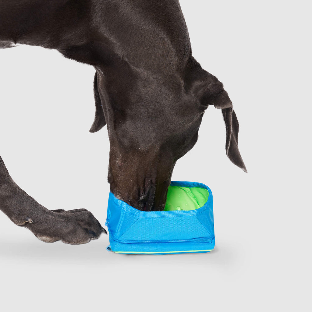 Chill Seeker Freeze-And-Go Water Bowl