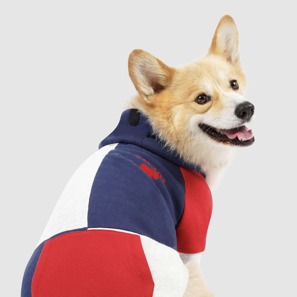 Colorblock Hoodie