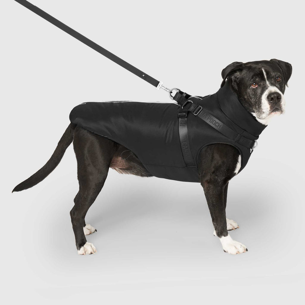 Complete Control Harness Winter Jacket