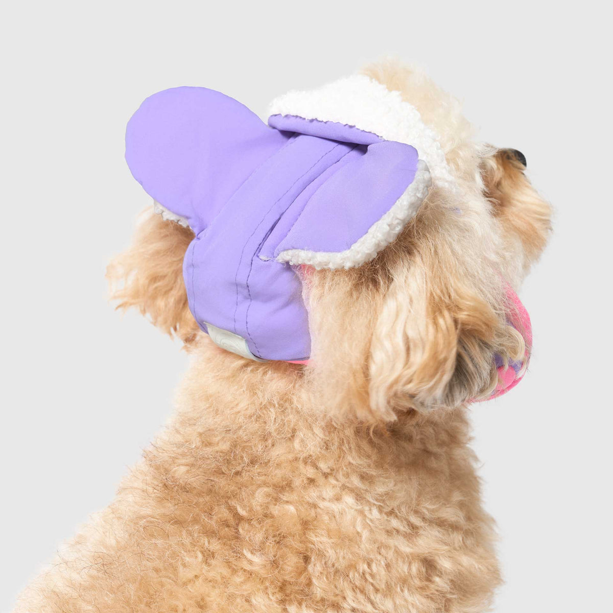 Cool Factor Aviator Hat