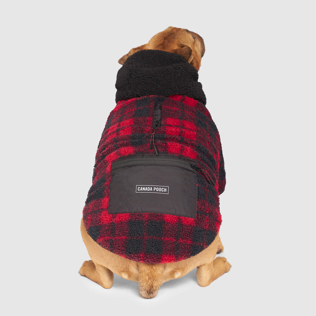 Cool Factor Hoodie