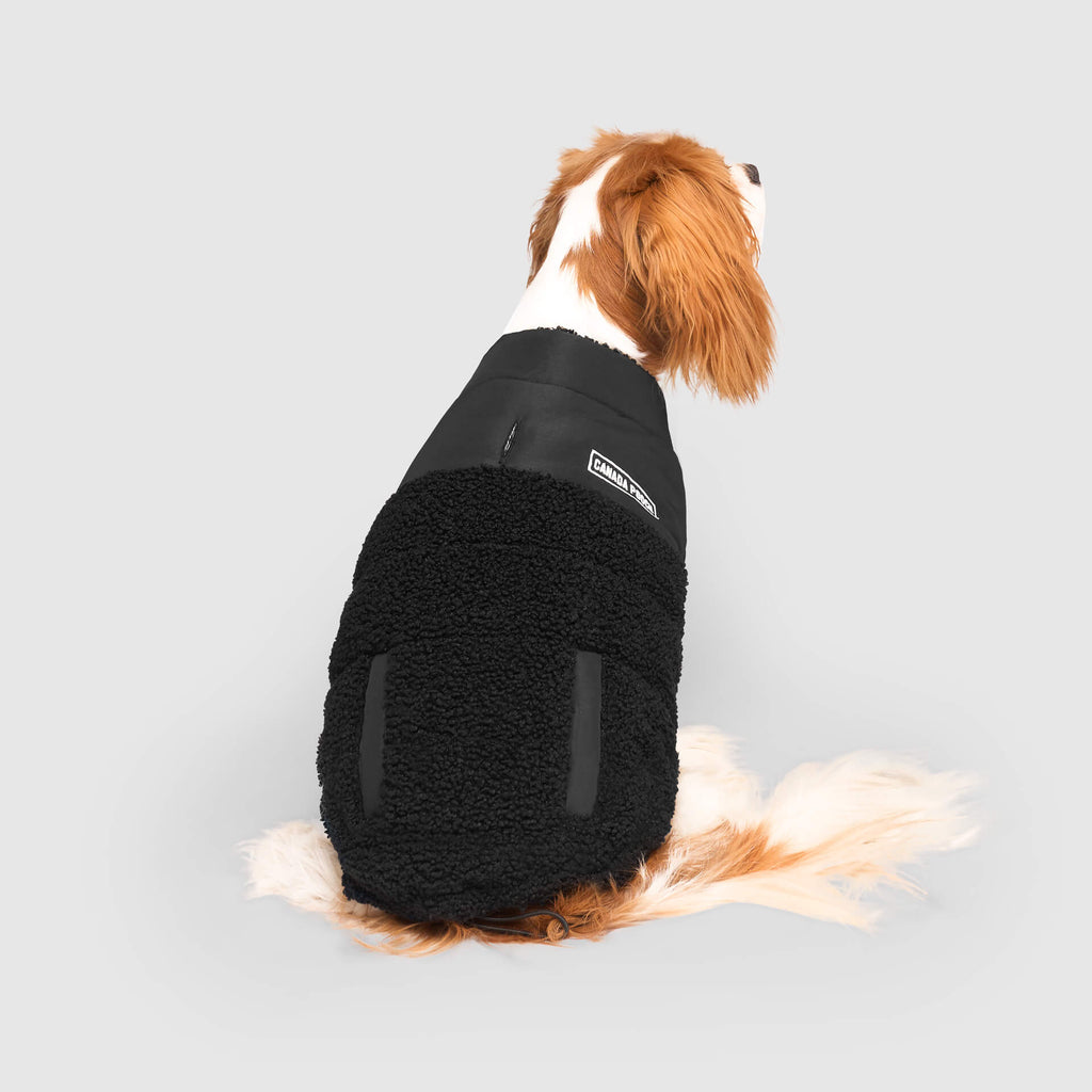 Cool Factor Puffer Jacket