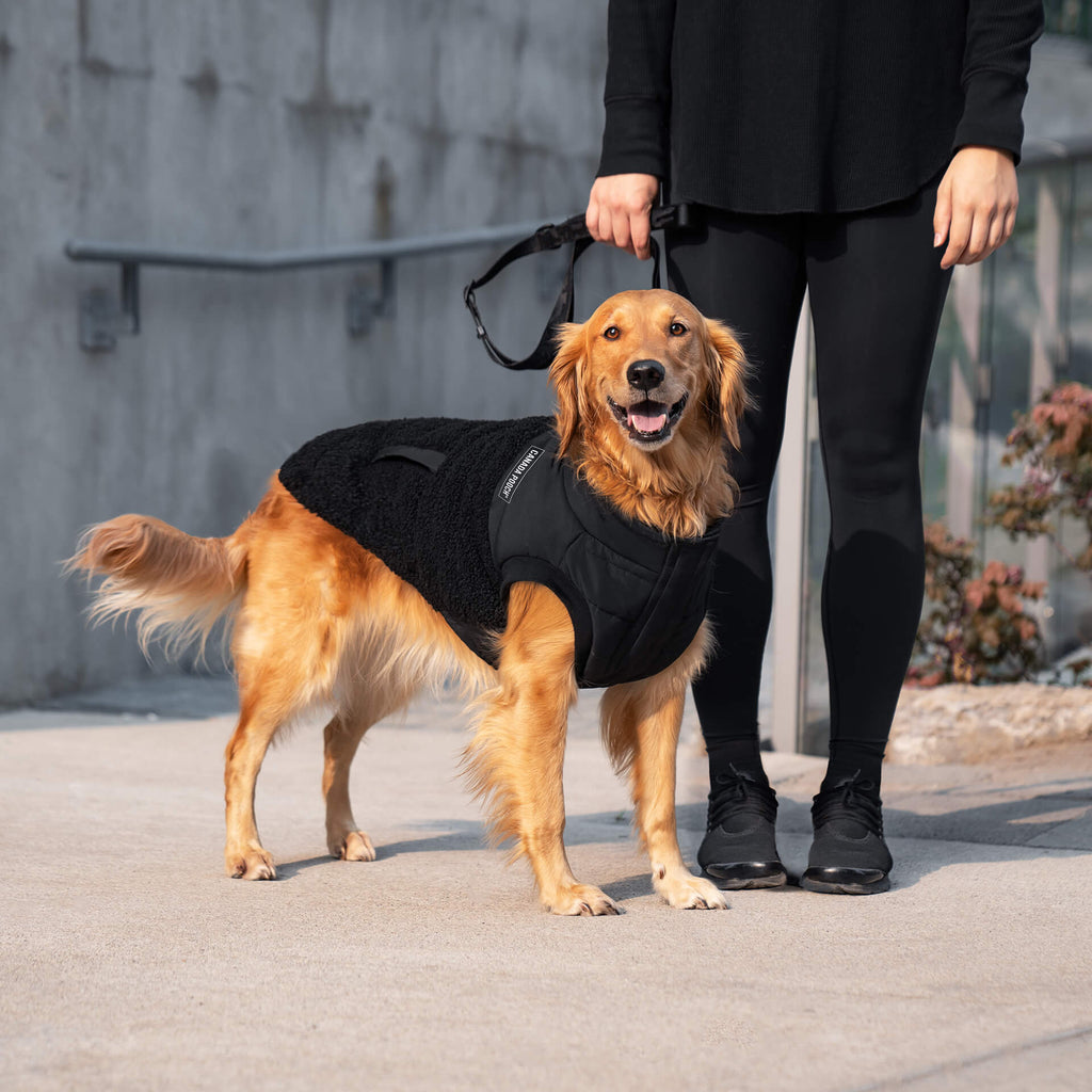 Cool Factor Puffer Jacket