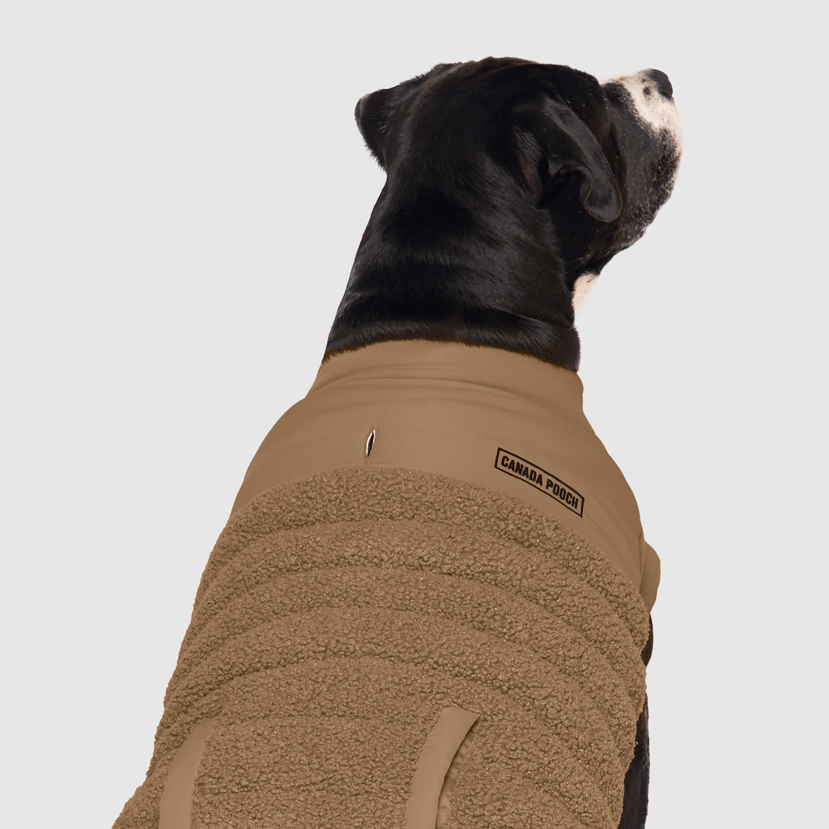 Cool Factor Puffer Jacket