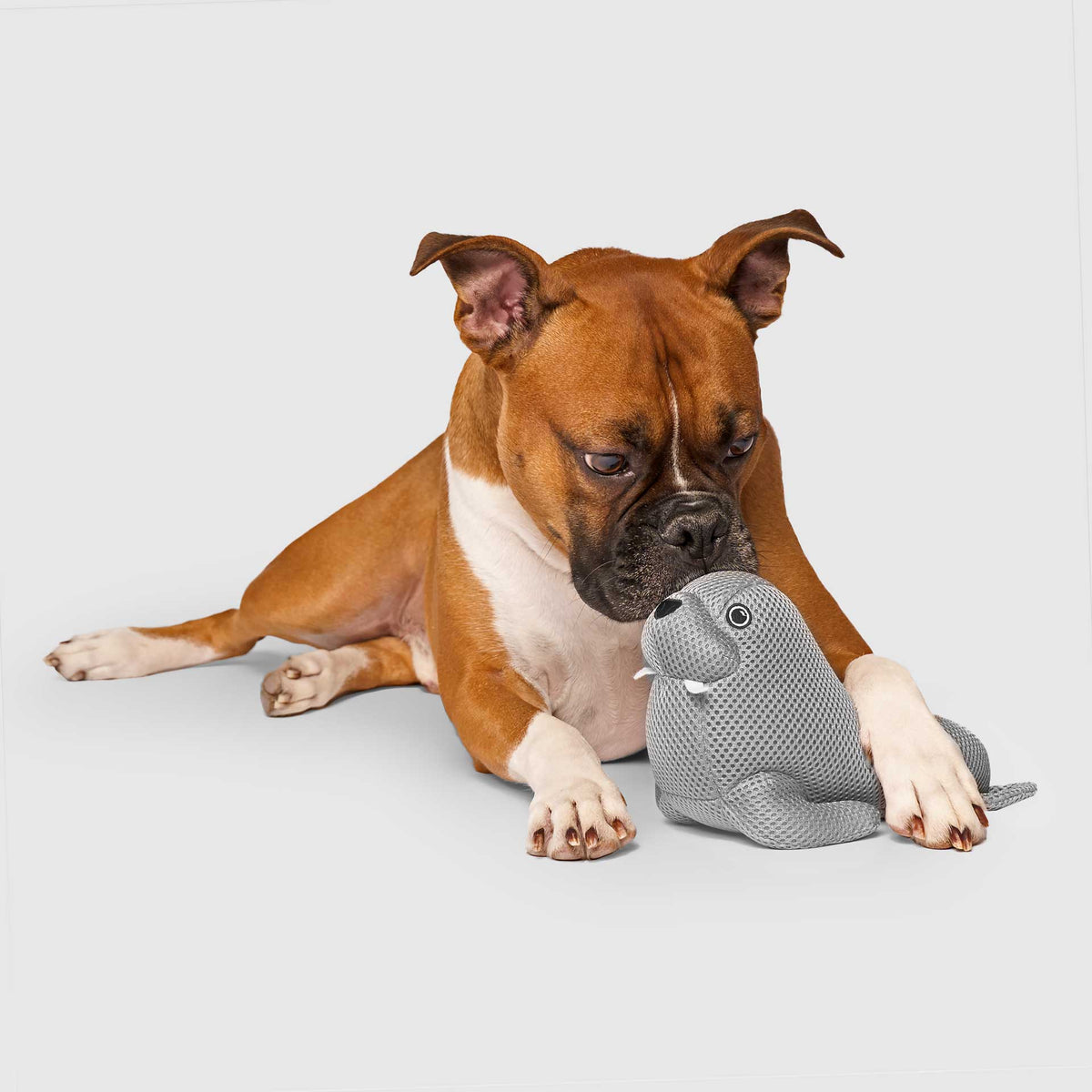 Freeze & Chill Cooling Pal Toy
