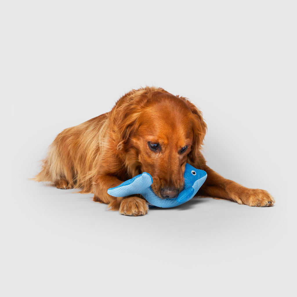 Freeze & Chill Cooling Pal Toy