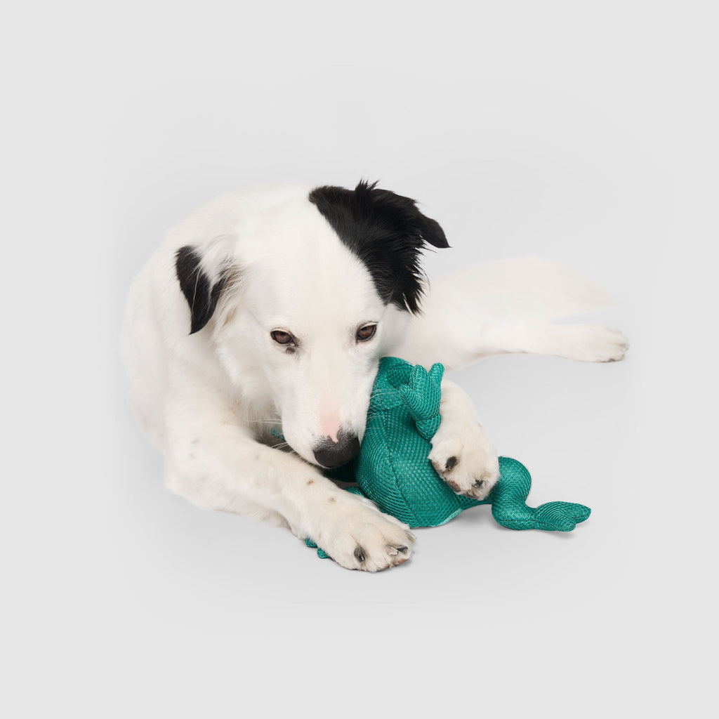 Freeze & Chill Cooling Pal Toy