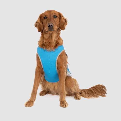 Chill Seeker Cooling Vest