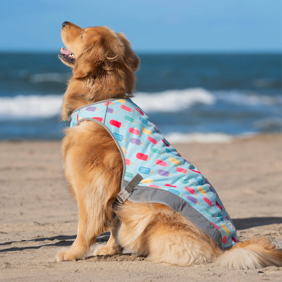 Chill Seeker Cooling Vest