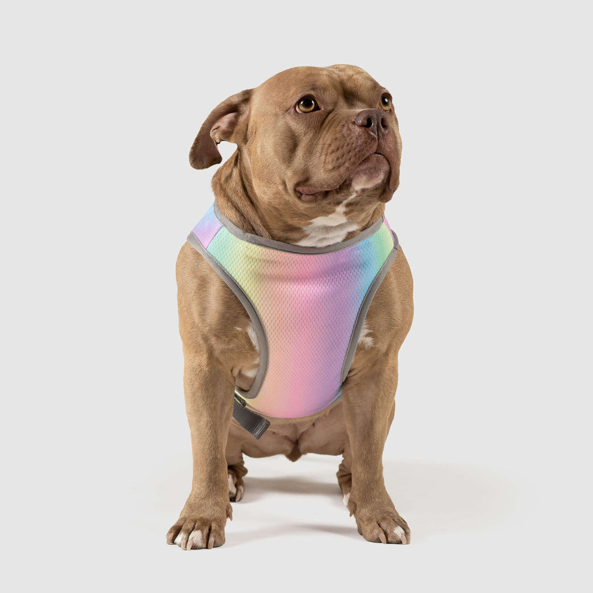 Chill Seeker Cooling Vest