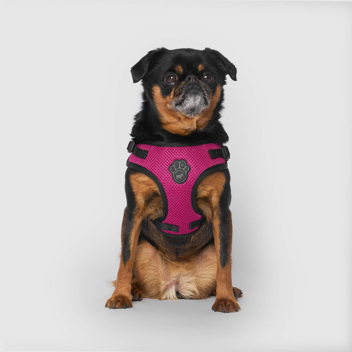 Easy-On Step-In Harness