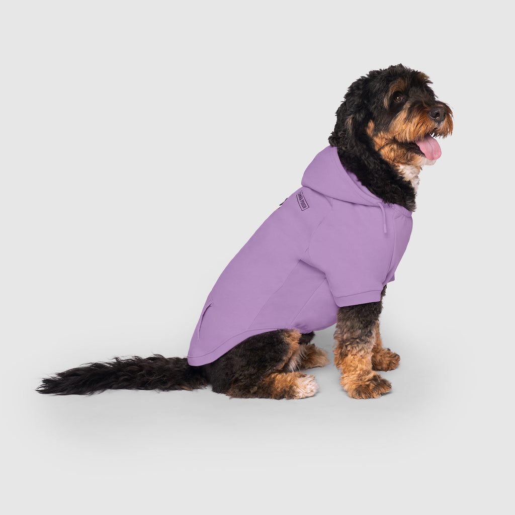 Eco+ Everyday Hoodie
