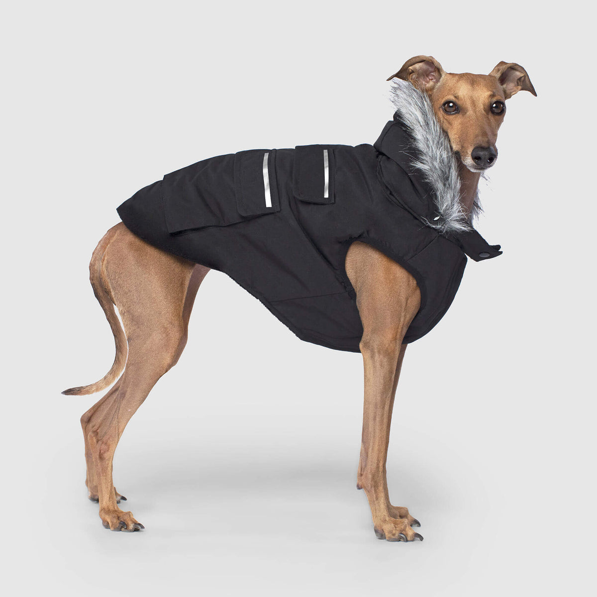 Everest Explorer Jacket