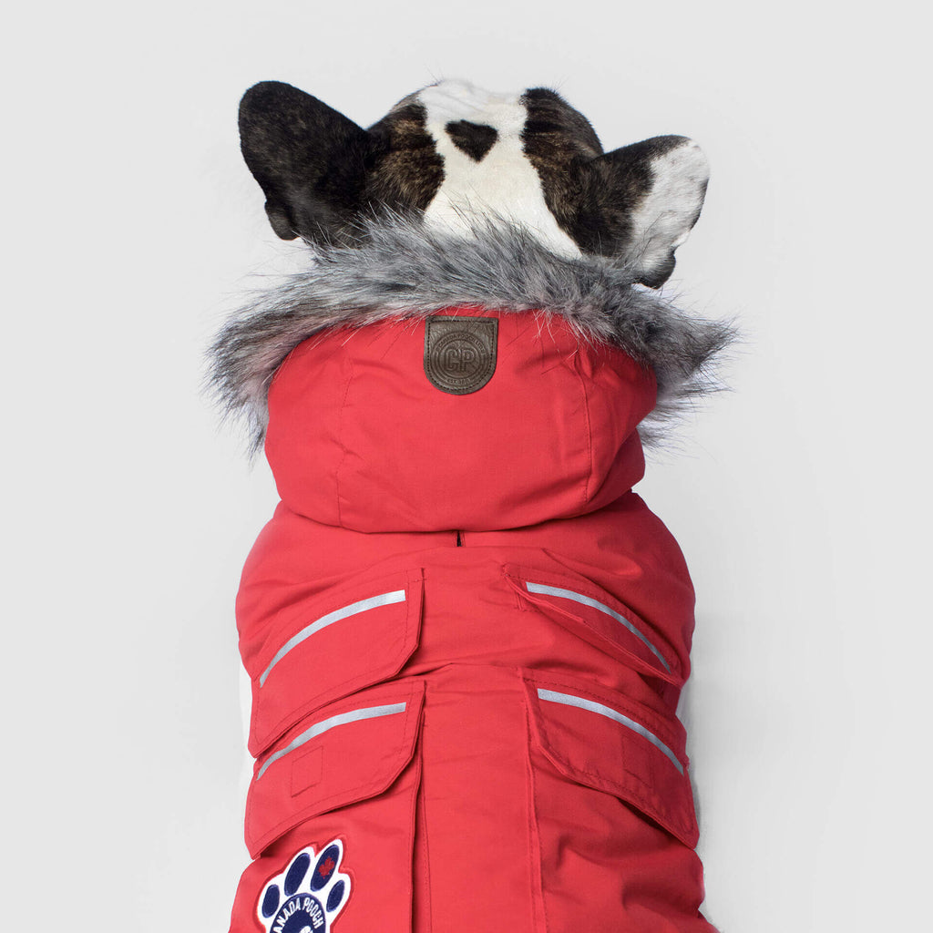Everest Explorer Jacket
