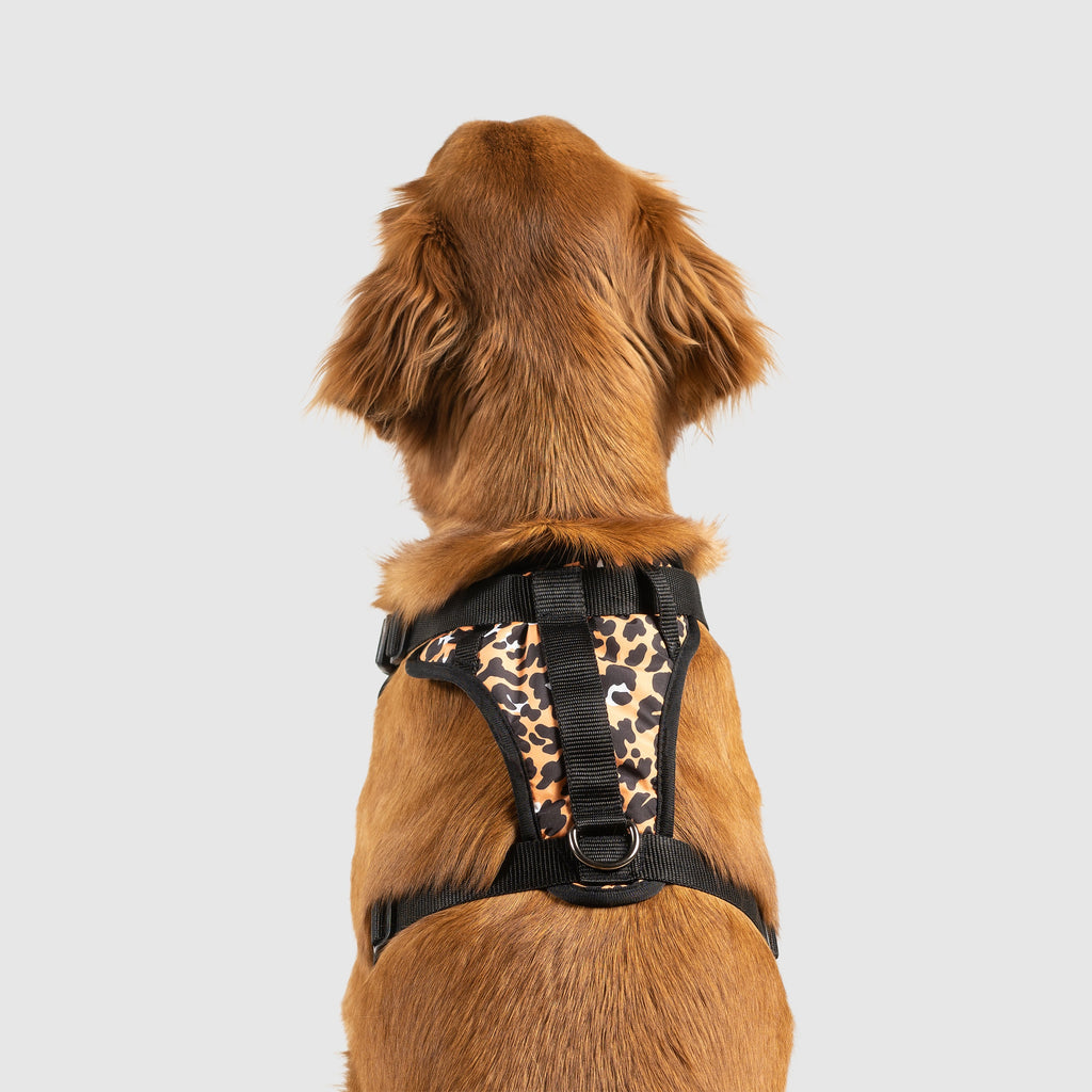 The Everything Harness Water-Resistant Series