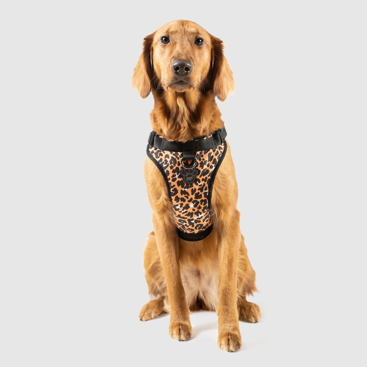 The Everything Harness Water-Resistant Series