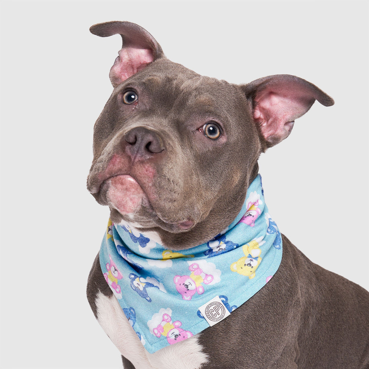 Follow Me Bandana