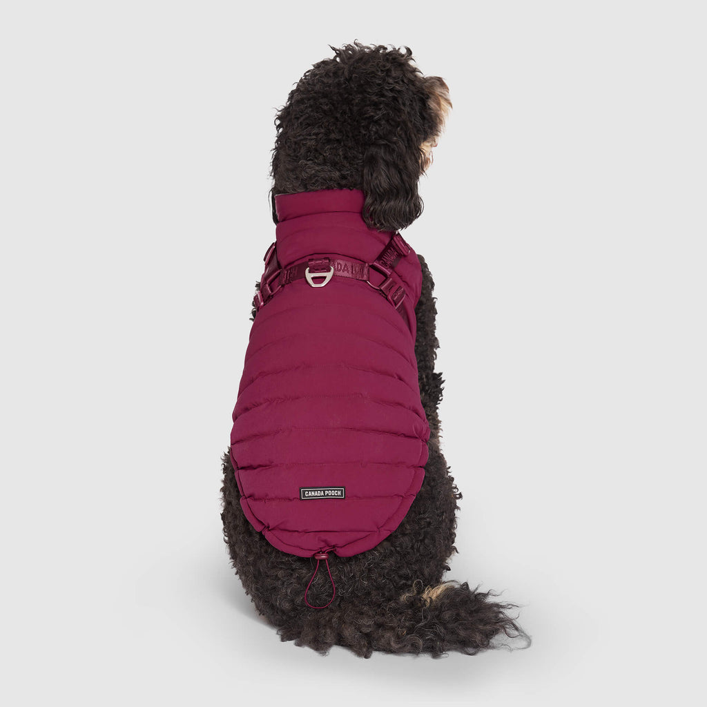 Harness Puffer