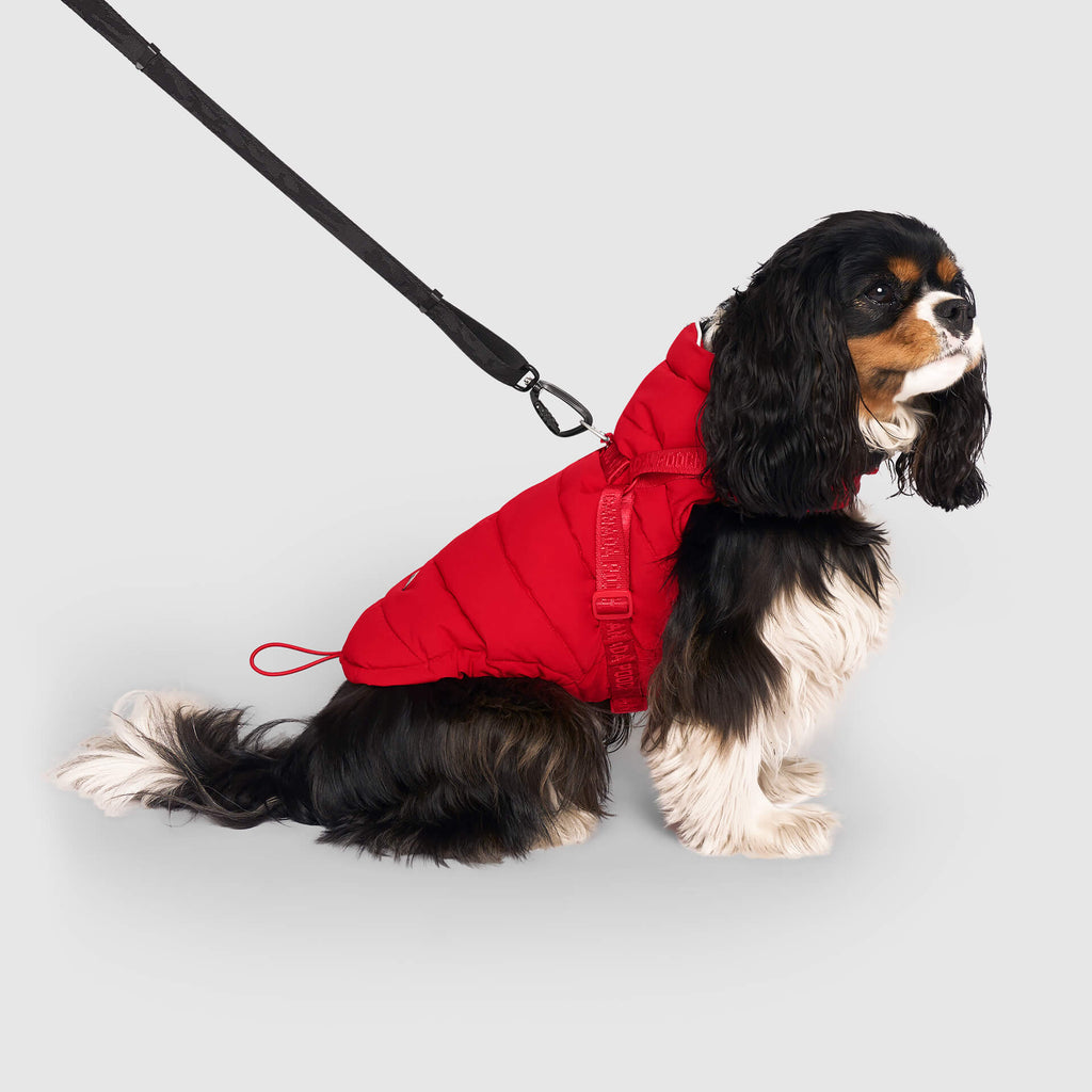 Harness Puffer