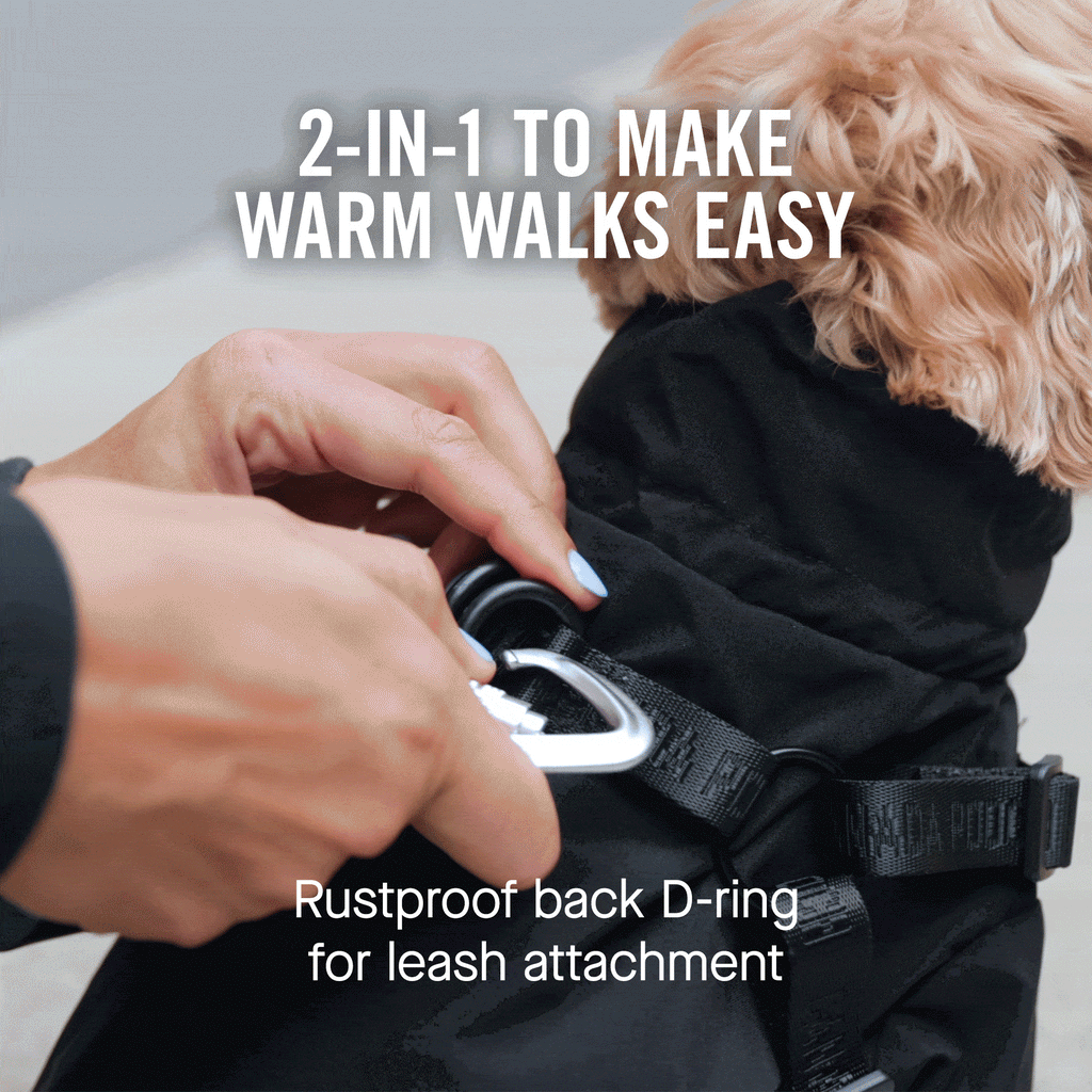 Harness Snow Suit