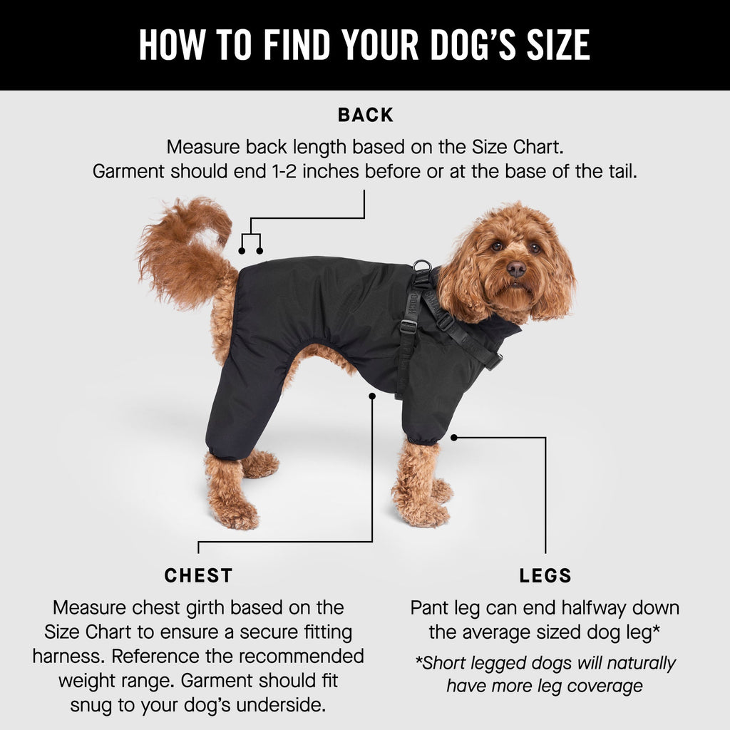 Harness Snow Suit