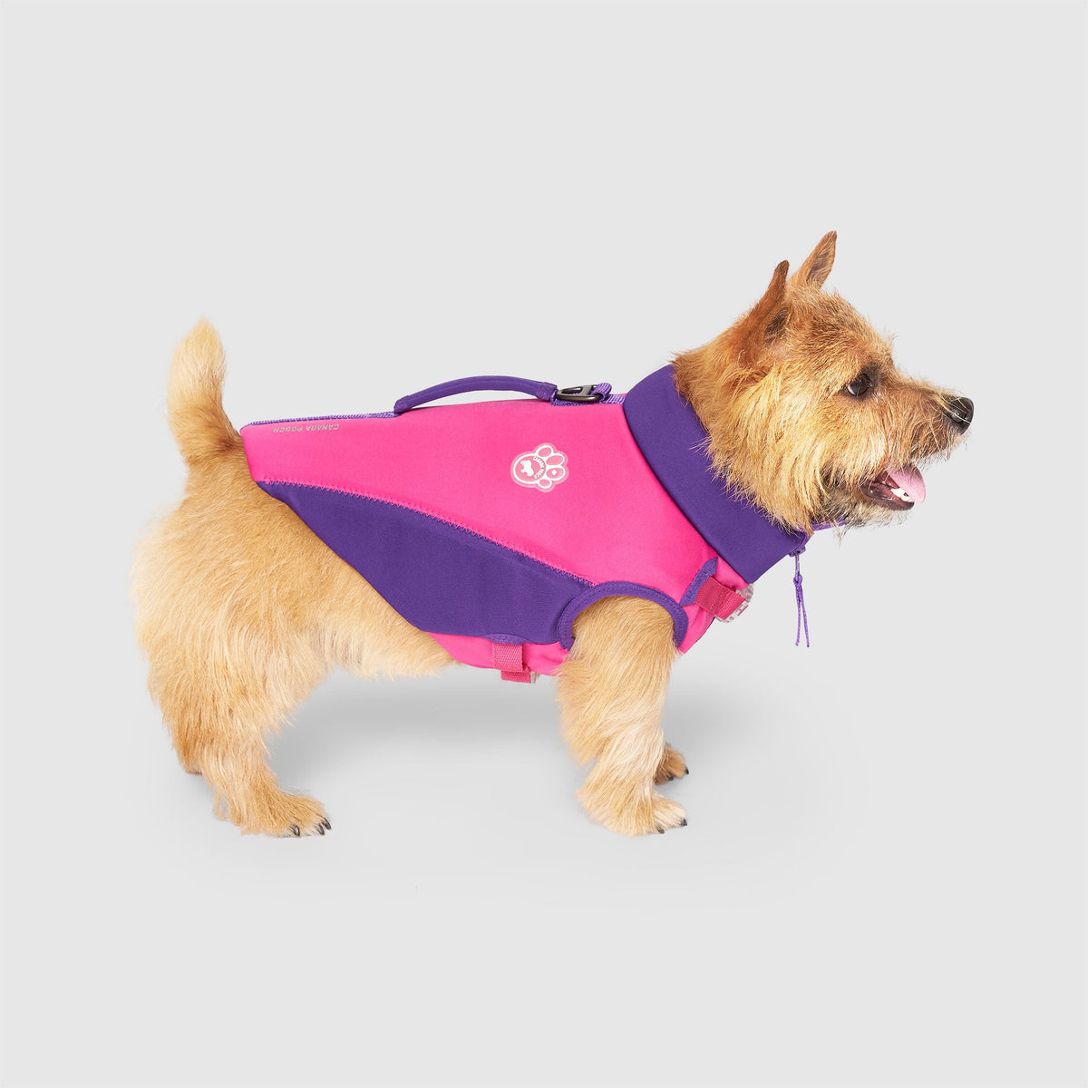 High Tide Life Jacket
