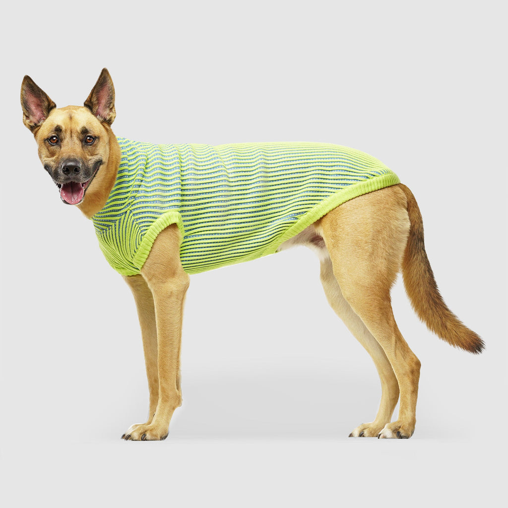 Icon Sweater