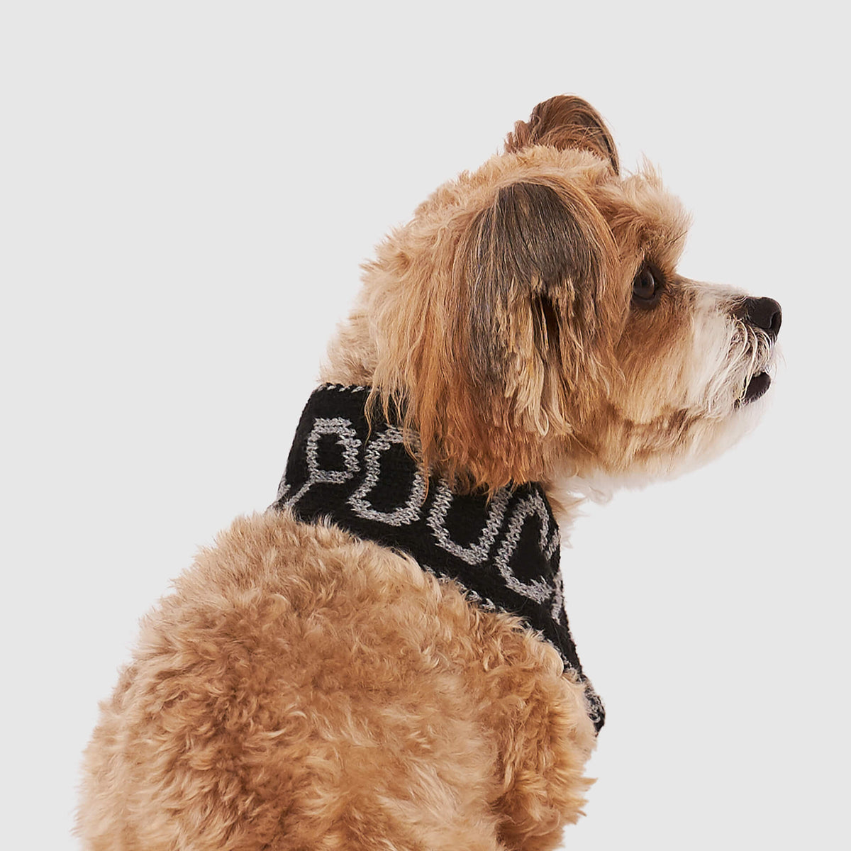 Logo Scarf