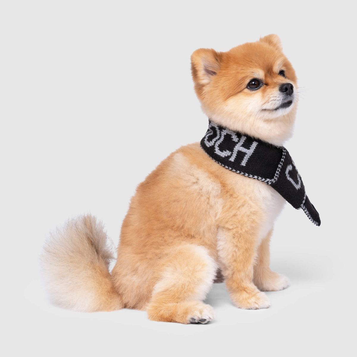 Logo Scarf