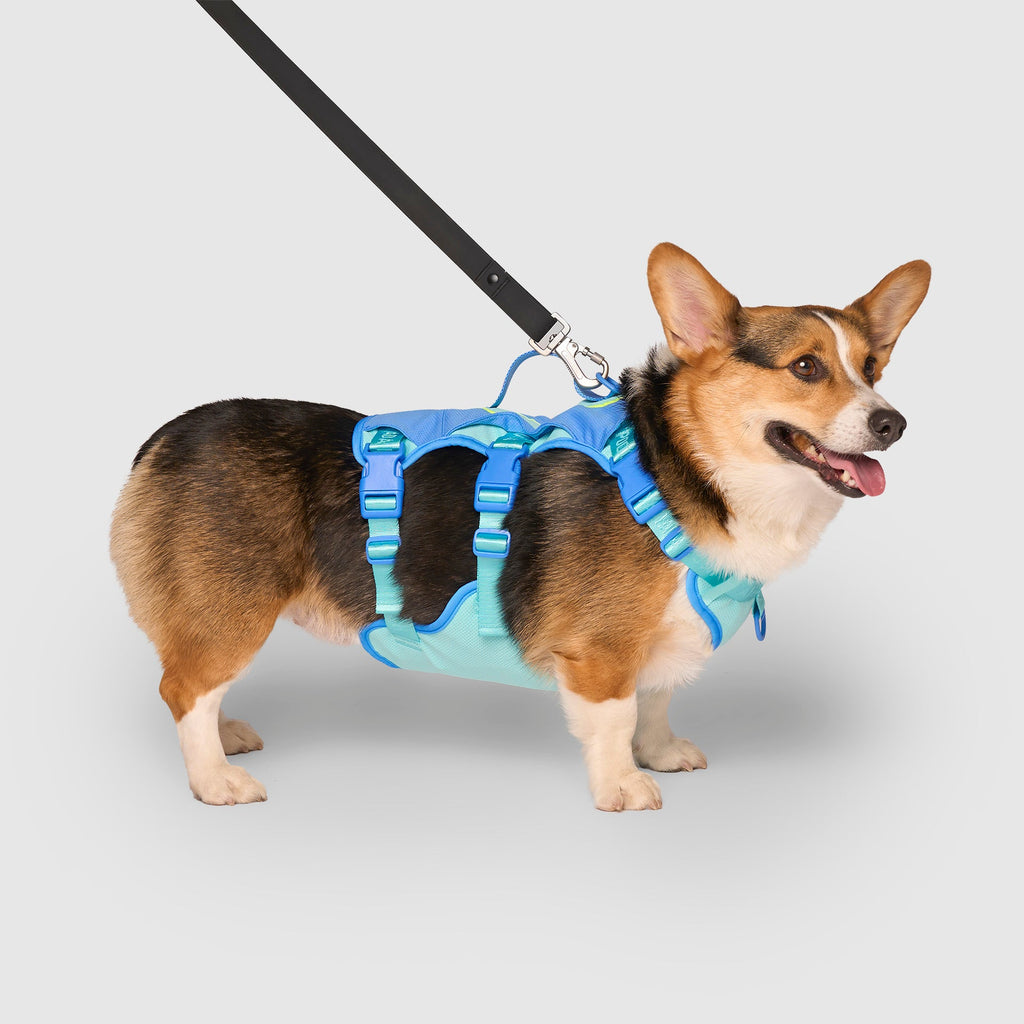 Max Chill Cooling Harness