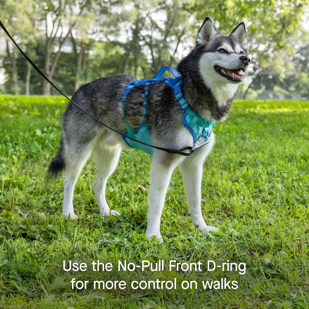 Max Chill Cooling Harness