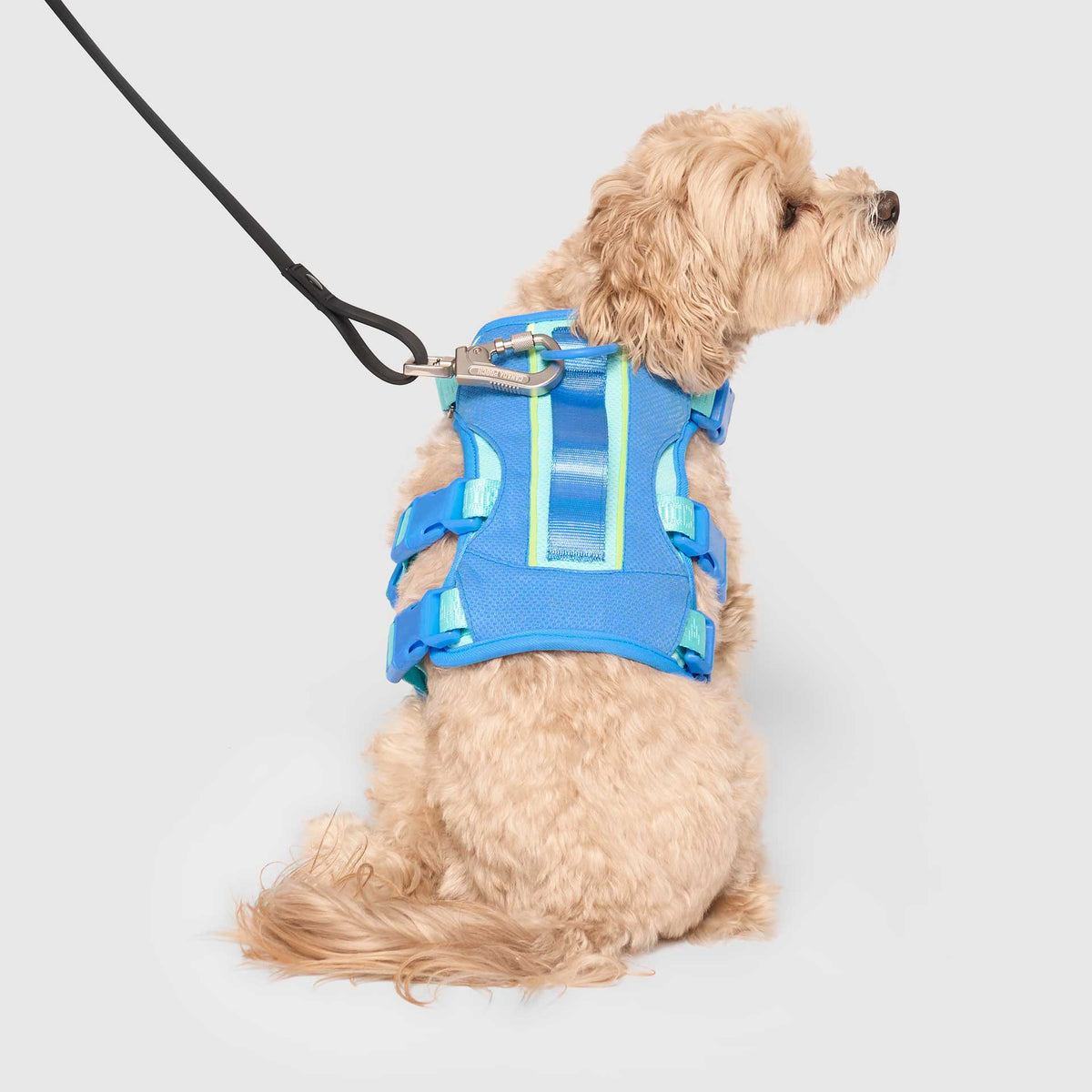 Max Chill Cooling Harness