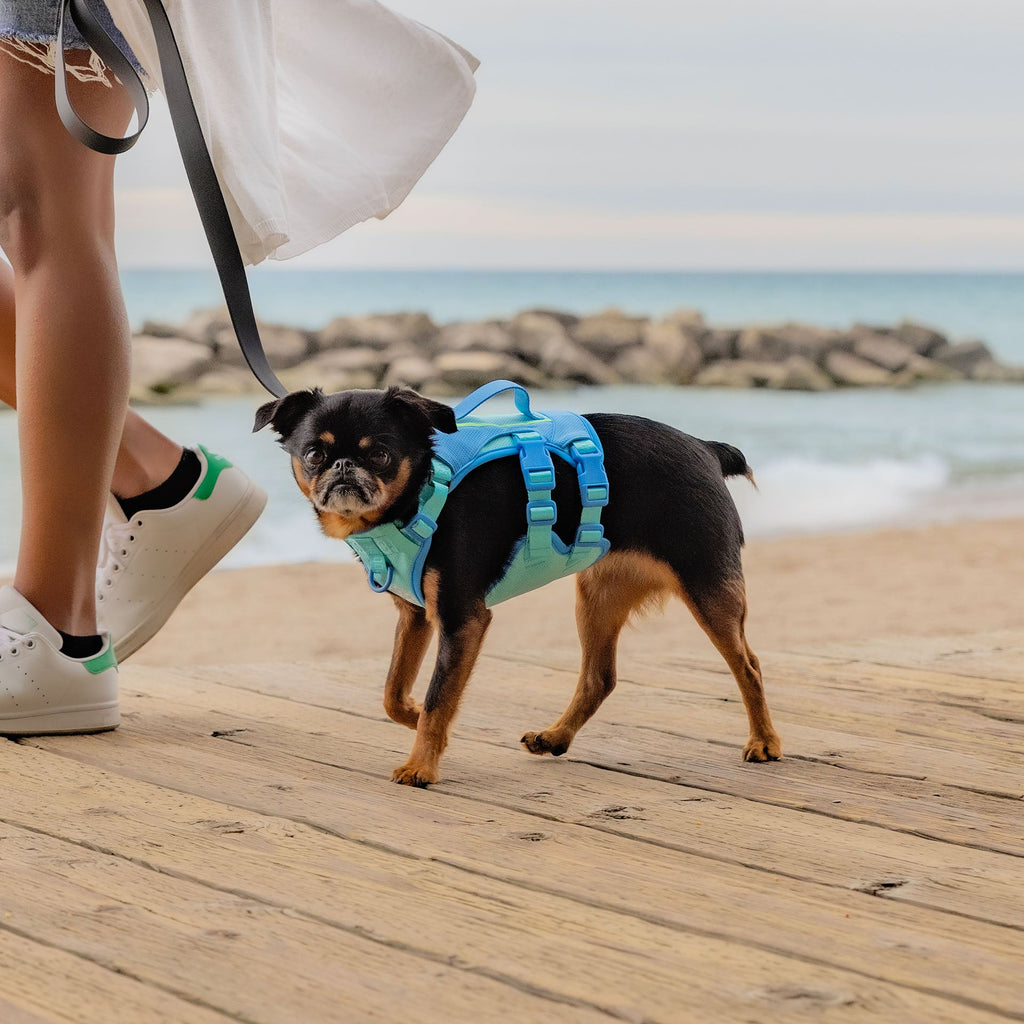 Max Chill Cooling Harness