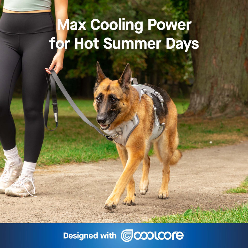 Max Chill Cooling Harness