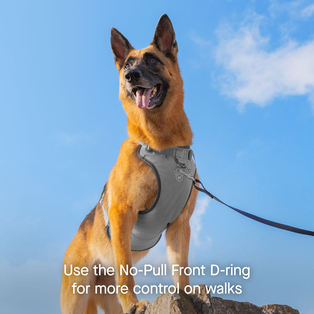 Max Chill Cooling Harness